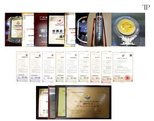 緹派多功能智能衛(wèi)浴工程技術(shù)研究中心榮獲市級認(rèn)定，引領(lǐng)技術(shù)咨詢新篇章